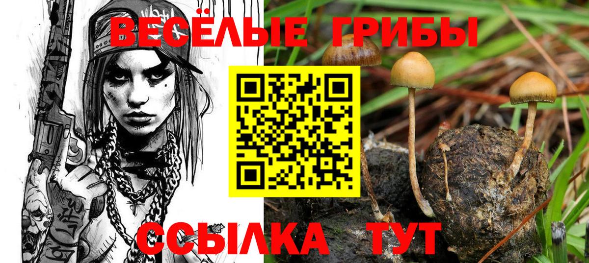 Галлюциногенные грибы Psilocybe  Вход с VPN  Псилоцибиновые грибы мухоморы  Ртищево 