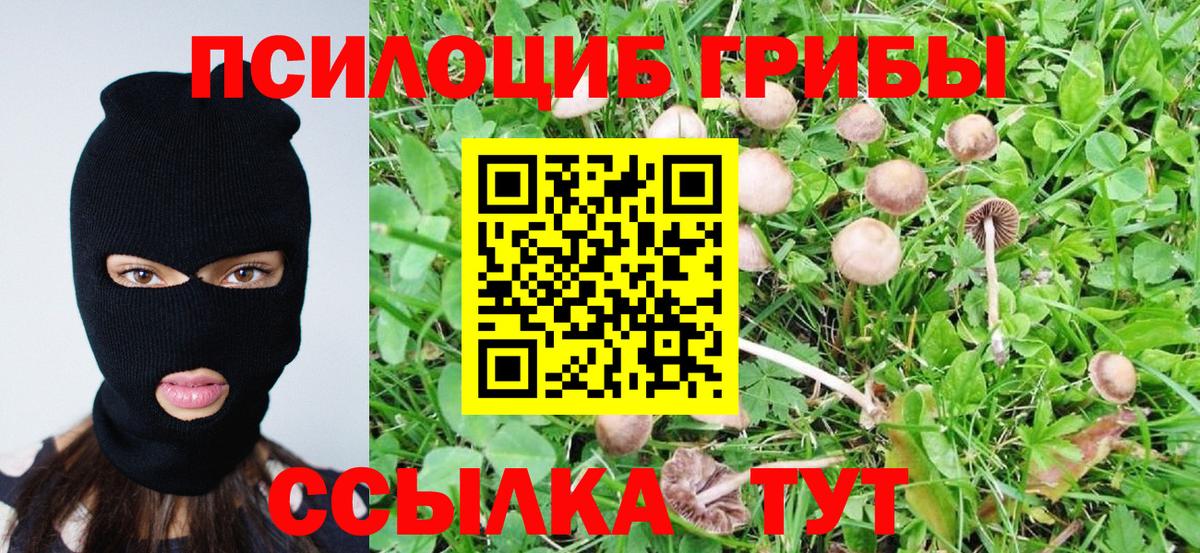Псилоцибиновые грибы ЛСД Ртищево